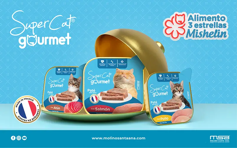 Inzomnio-Website-Portafolio-ImagenGaleria-SCGourmet-1