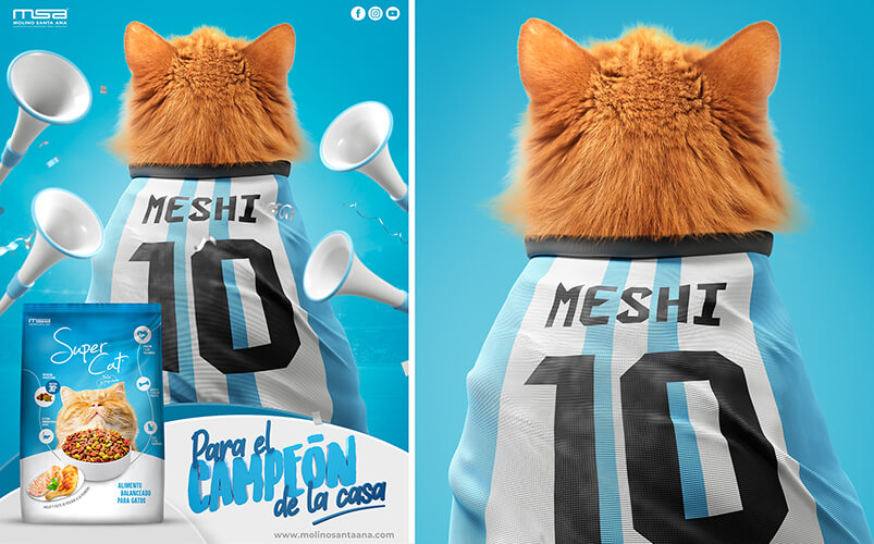 Inzomnio-Website-Portafolio-ImagenGaleria-SCMeshi-1