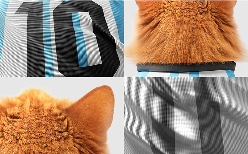 Inzomnio-Website-Portafolio-ImagenGaleria-SCMeshi-3