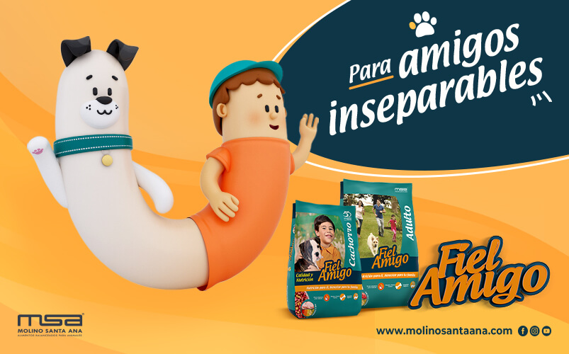 Inzomnio-Website-Portafolio-ImagenGaleria-FAAmigosInseparables-1