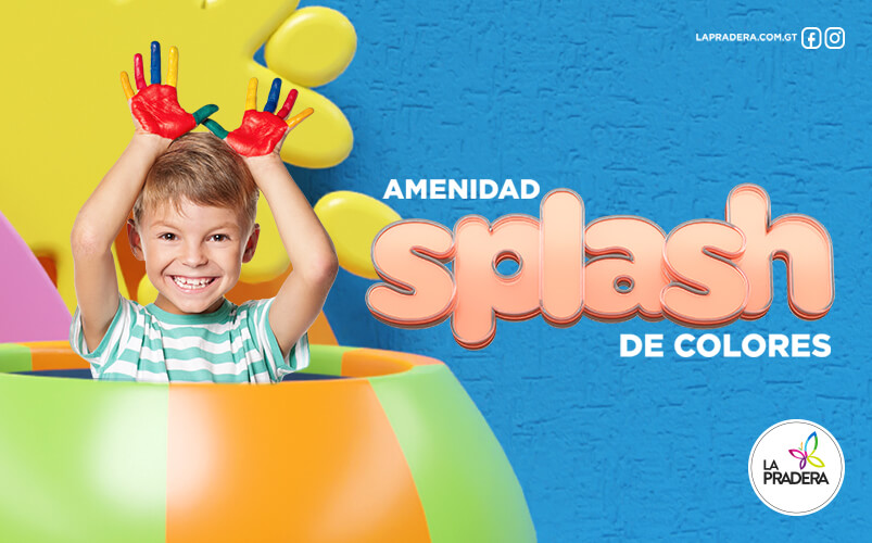 Inzomnio-Website-Portafolio-ImagenGaleria-LaPraderaSplashColores-1