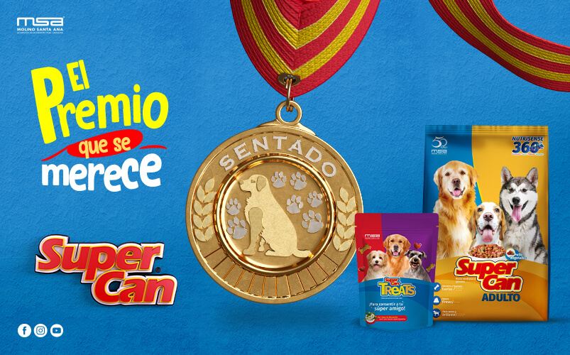 Inzomnio-Website-Portafolio-ImagenGaleria-SCElPremio-1