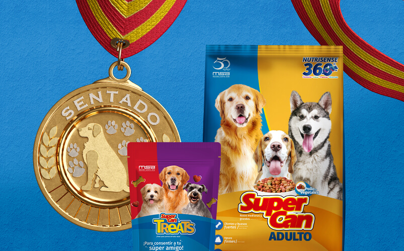 Inzomnio-Website-Portafolio-ImagenGaleria-SCElPremio-2