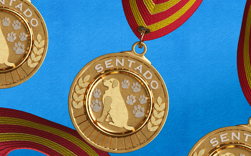 Inzomnio-Website-Portafolio-ImagenGaleria-SCElPremio-3