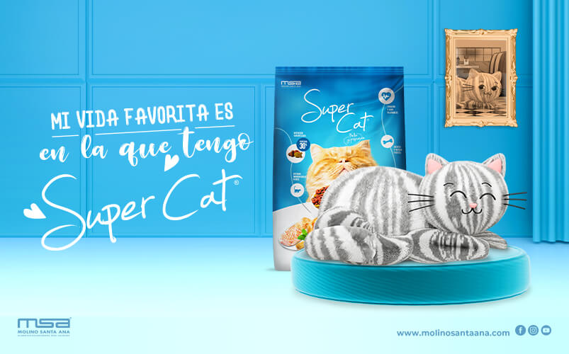 Inzomnio-Website-Portafolio-ImagenGaleria-SuperCatMiVidaFavorita-1