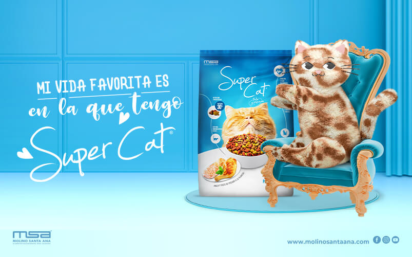 Inzomnio-Website-Portafolio-ImagenGaleria-SuperCatMiVidaFavorita-2