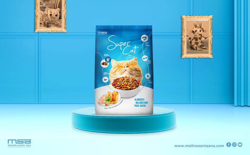 Inzomnio-Website-Portafolio-ImagenGaleria-SuperCatMiVidaFavorita-3